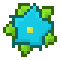 Cyan poinsettia